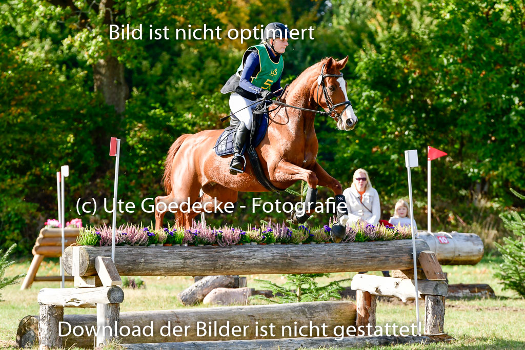 Bad Segeberg 09.10.2022 | 09102022 - XC CCI++ _032