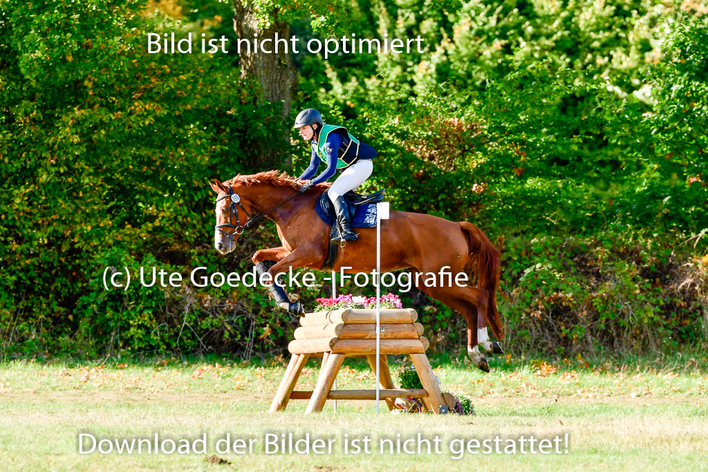 Bad Segeberg 09.10.2022 | 09102022 - XC CCI++ _033