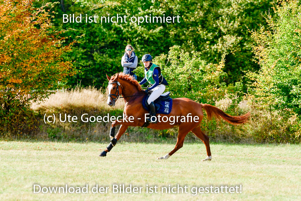 Bad Segeberg 09.10.2022 | 09102022 - XC CCI++ _035