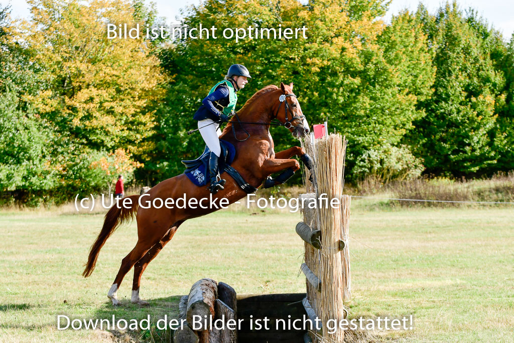 Bad Segeberg 09.10.2022 | 09102022 - XC CCI++ _036