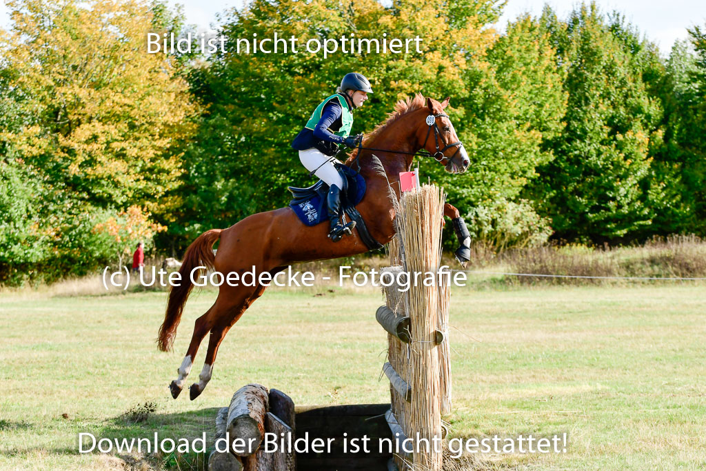 Bad Segeberg 09.10.2022 | 09102022 - XC CCI++ _037