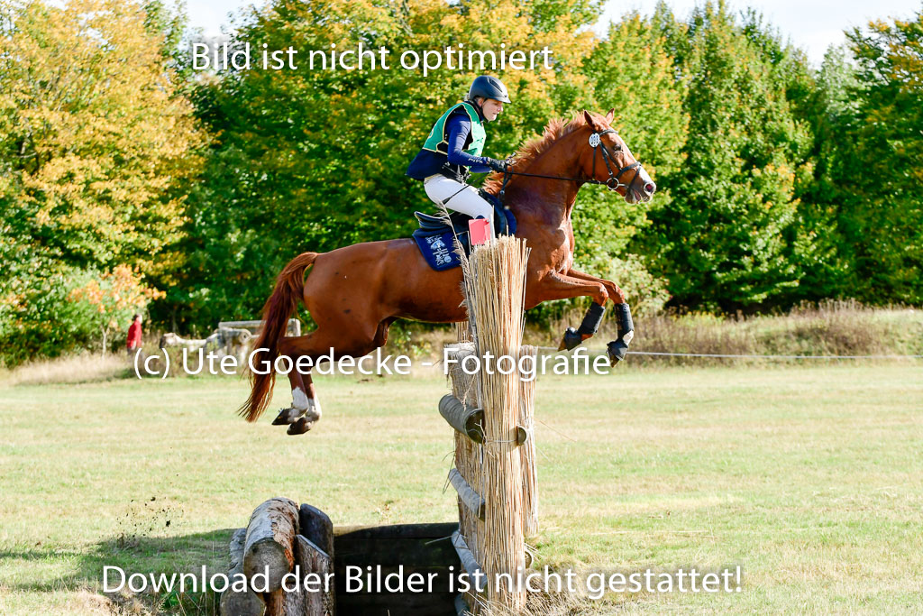 Bad Segeberg 09.10.2022 | 09102022 - XC CCI++ _038