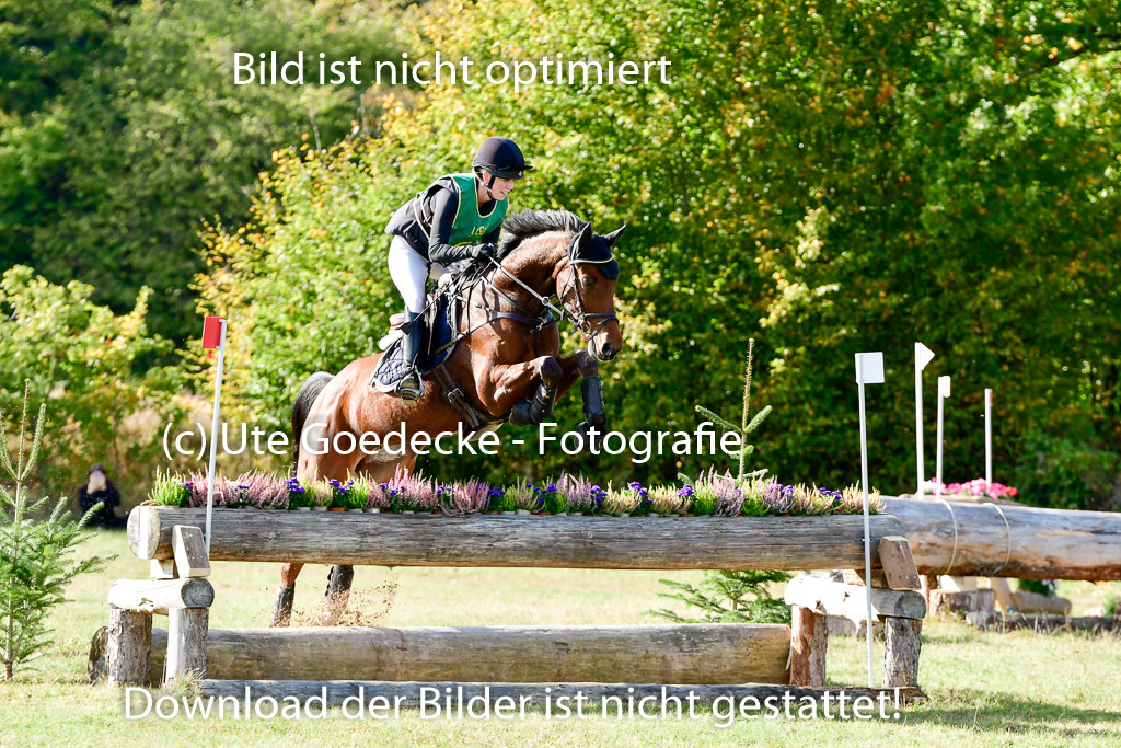 Bad Segeberg 09.10.2022 | 09102022 - XC CCI++ _039