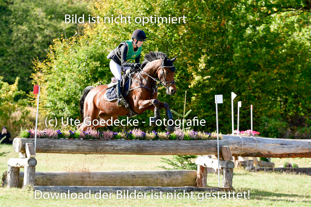 Bad Segeberg 09.10.2022 | 09102022 - XC CCI++ _040