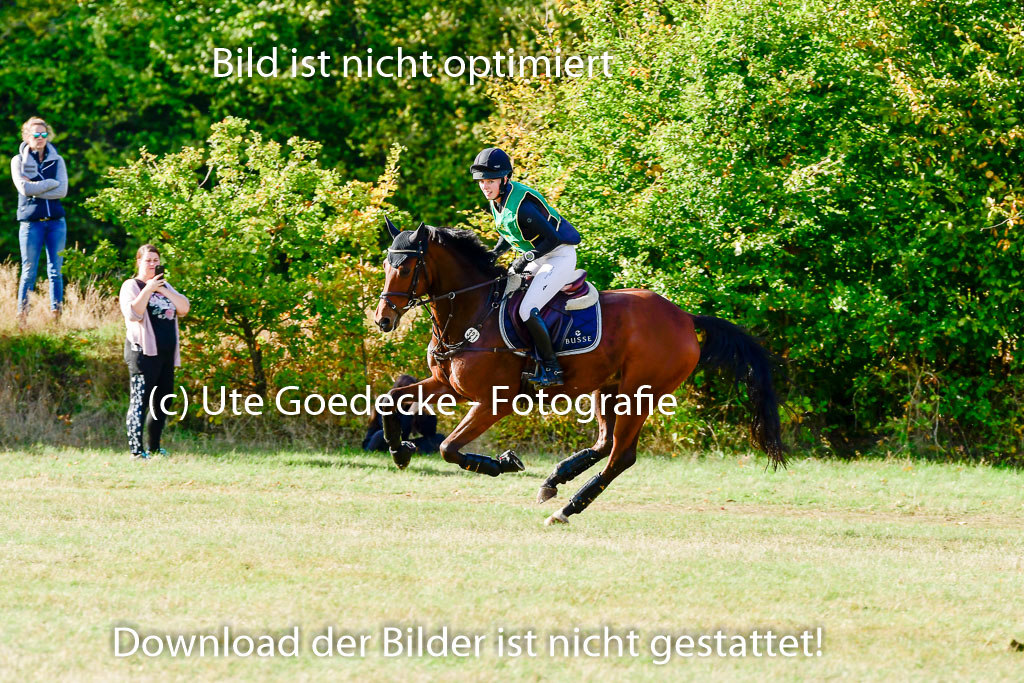 Bad Segeberg 09.10.2022 | 09102022 - XC CCI++ _043