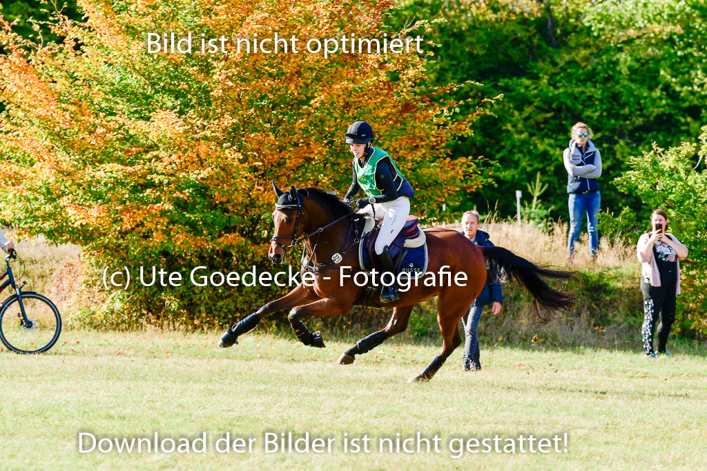 Bad Segeberg 09.10.2022 | 09102022 - XC CCI++ _044