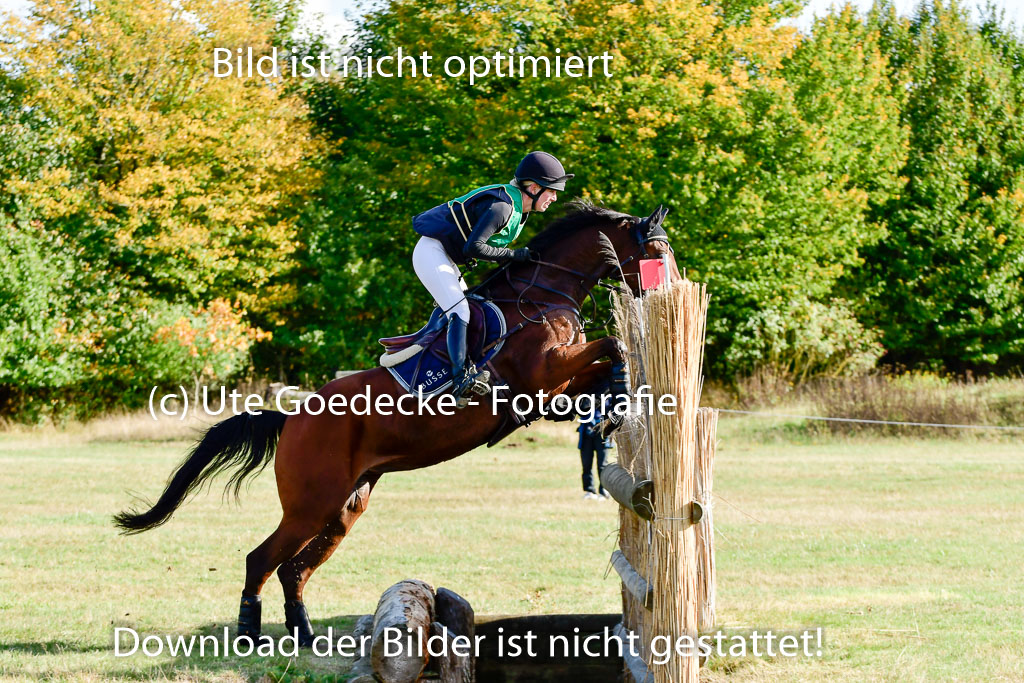 Bad Segeberg 09.10.2022 | 09102022 - XC CCI++ _047