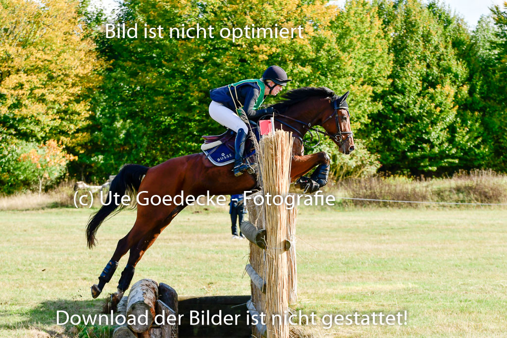 Bad Segeberg 09.10.2022 | 09102022 - XC CCI++ _048