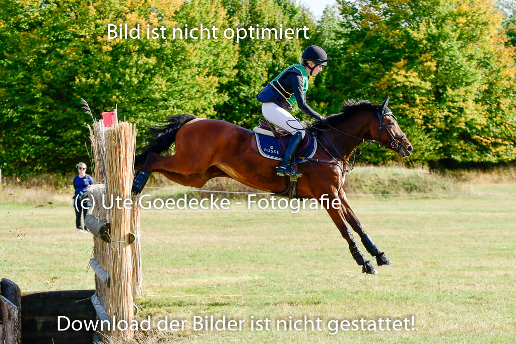 Bad Segeberg 09.10.2022 | 09102022 - XC CCI++ _050