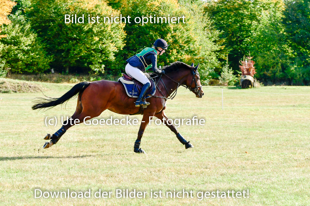 Bad Segeberg 09.10.2022 | 09102022 - XC CCI++ _052