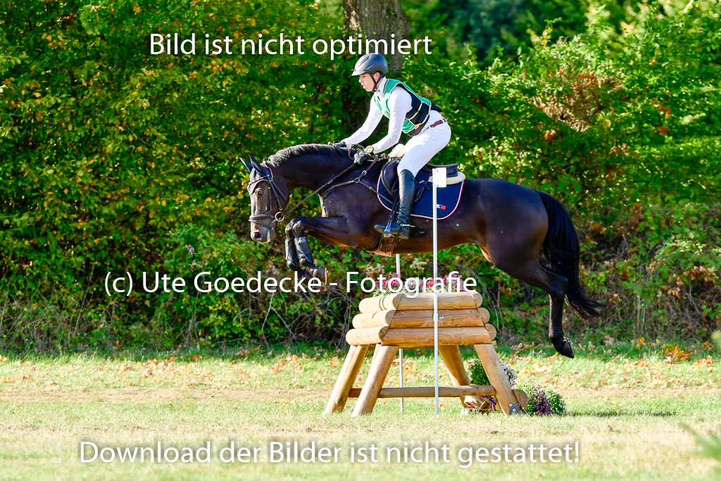 Bad Segeberg 09.10.2022 | 09102022 - XC CCI++ _055