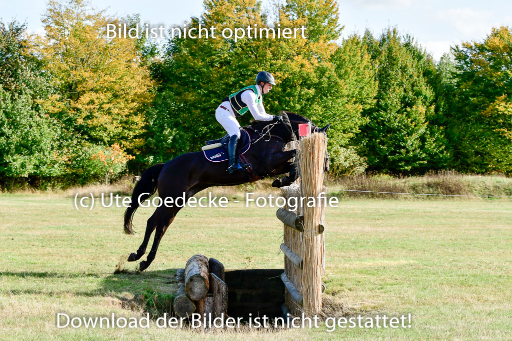 Bad Segeberg 09.10.2022 | 09102022 - XC CCI++ _057