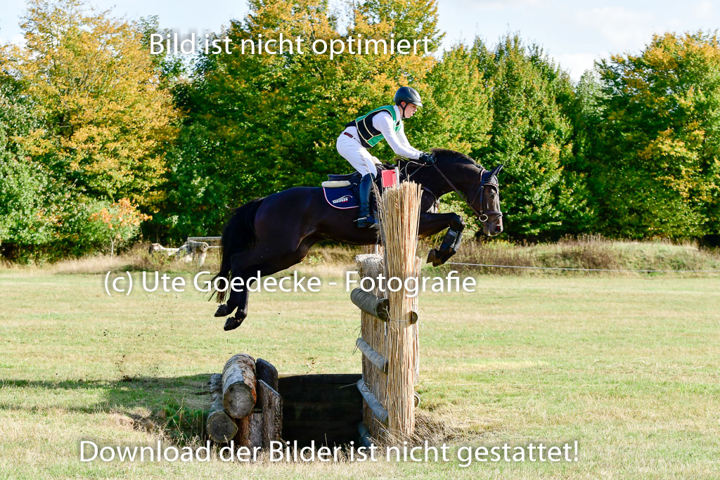 Bad Segeberg 09.10.2022 | 09102022 - XC CCI++ _058