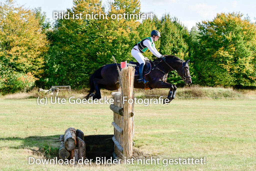 Bad Segeberg 09.10.2022 | 09102022 - XC CCI++ _059