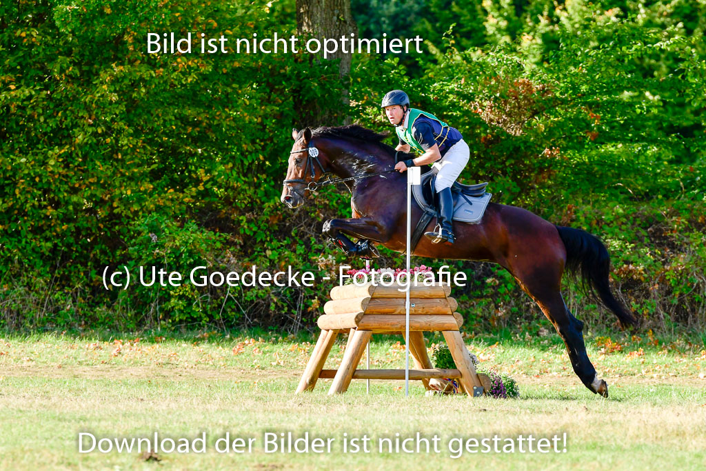 Bad Segeberg 09.10.2022 | 09102022 - XC CCI++ _060