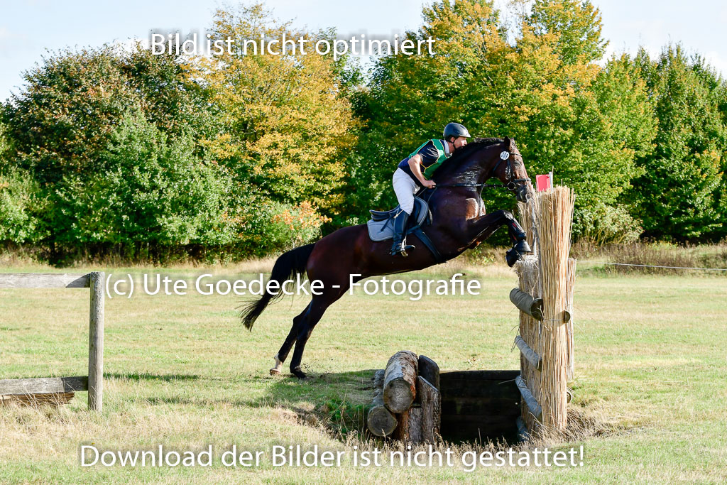 Bad Segeberg 09.10.2022 | 09102022 - XC CCI++ _065