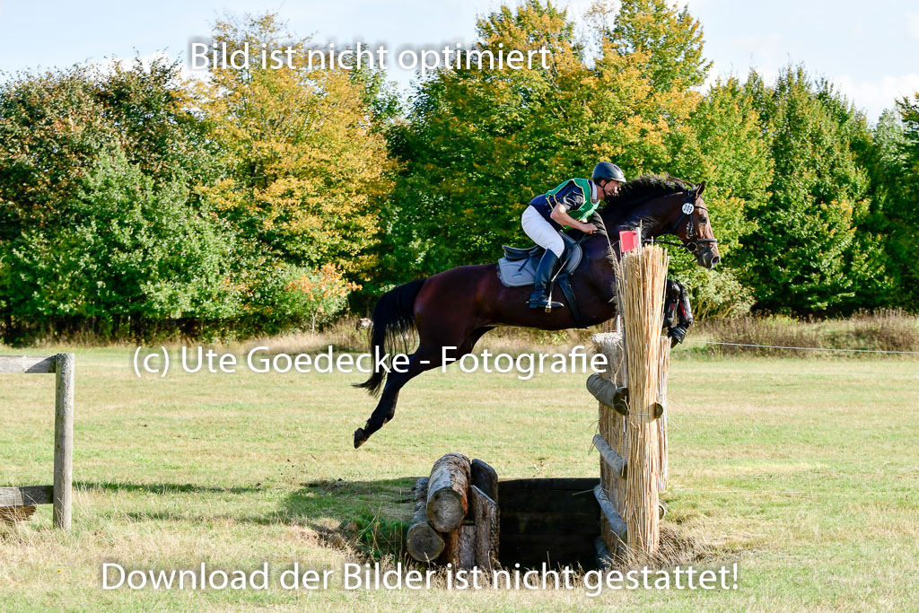 Bad Segeberg 09.10.2022 | 09102022 - XC CCI++ _066