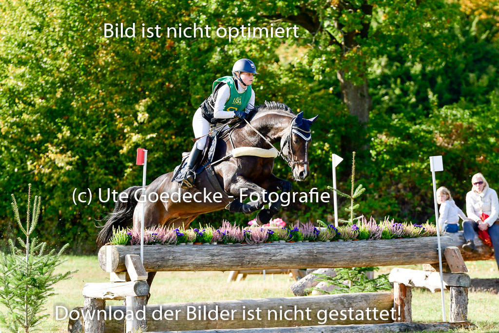 Bad Segeberg 09.10.2022 | 09102022 - XC CCI++ _068