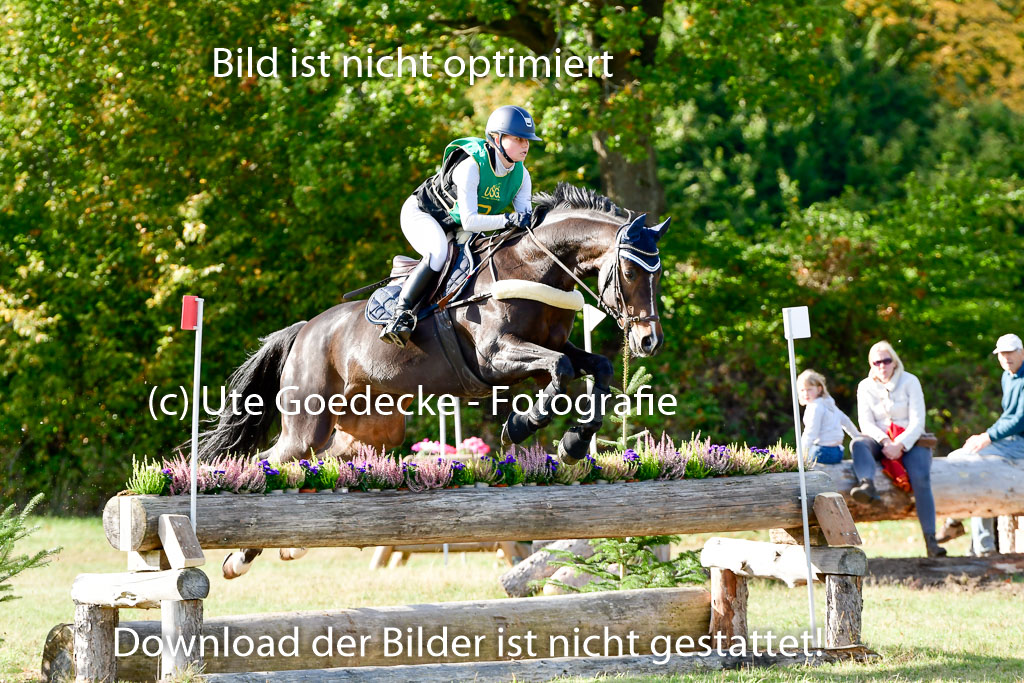Bad Segeberg 09.10.2022 | 09102022 - XC CCI++ _069
