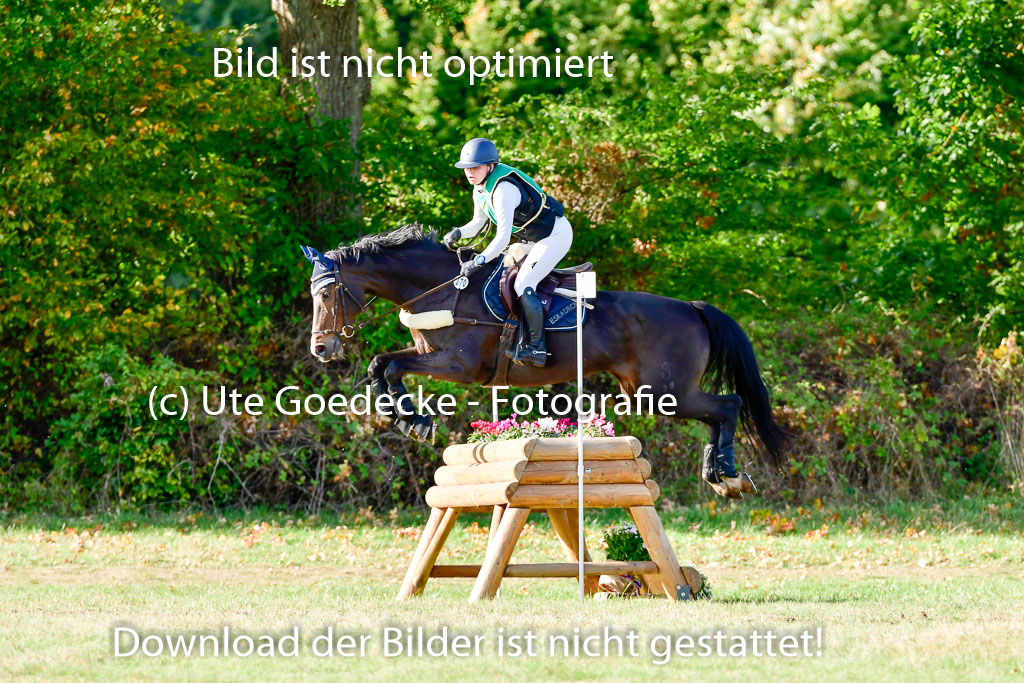 Bad Segeberg 09.10.2022 | 09102022 - XC CCI++ _071