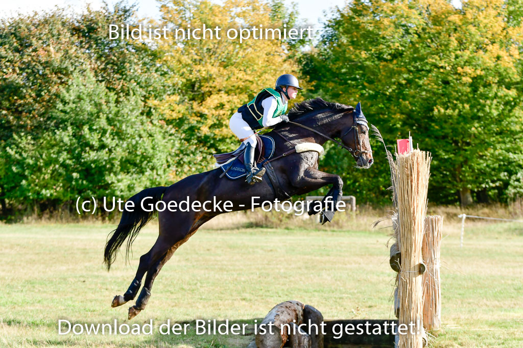 Bad Segeberg 09.10.2022 | 09102022 - XC CCI++ _075