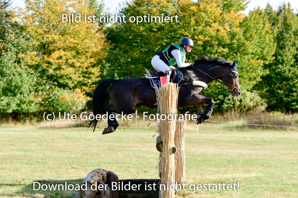 Bad Segeberg 09.10.2022 | 09102022 - XC CCI++ _077