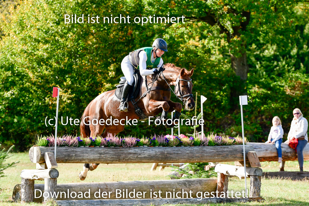 Bad Segeberg 09.10.2022 | 09102022 - XC CCI++ _078