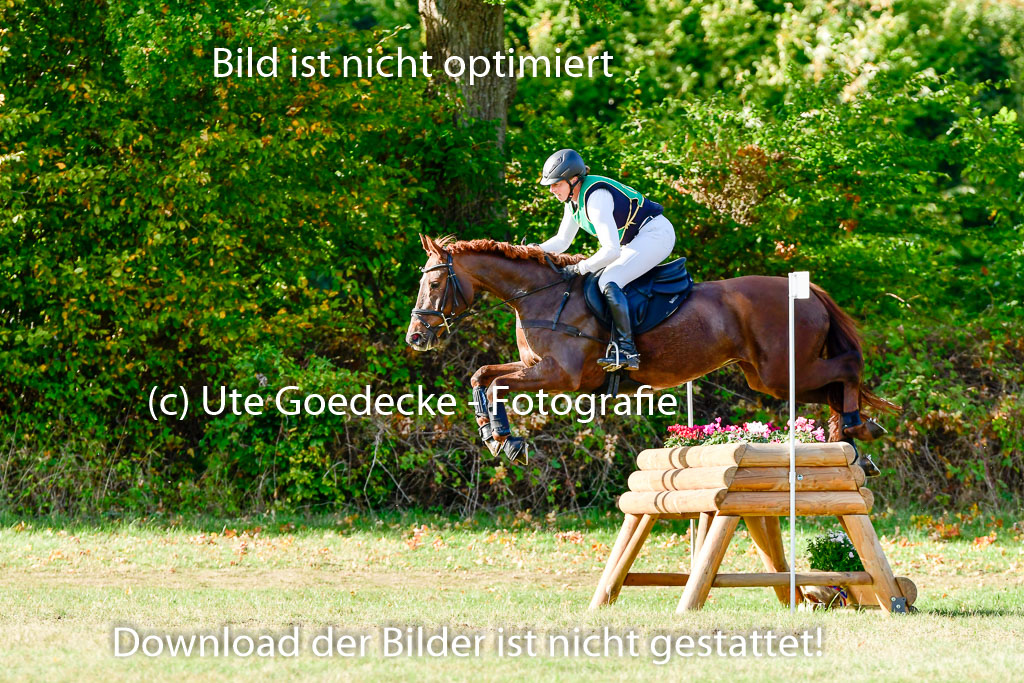 Bad Segeberg 09.10.2022 | 09102022 - XC CCI++ _080
