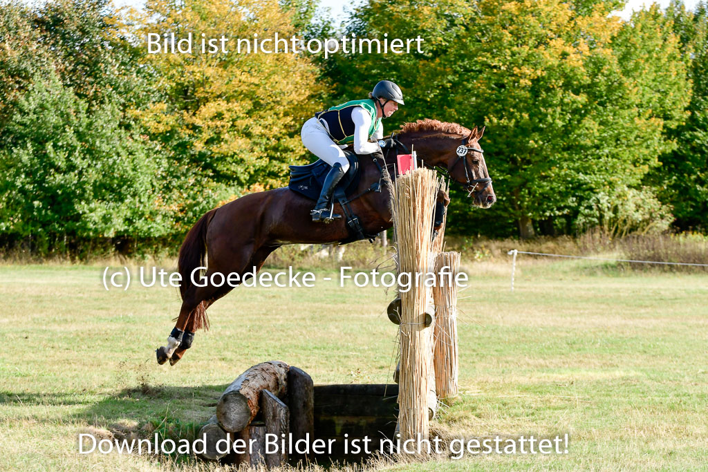 Bad Segeberg 09.10.2022 | 09102022 - XC CCI++ _084