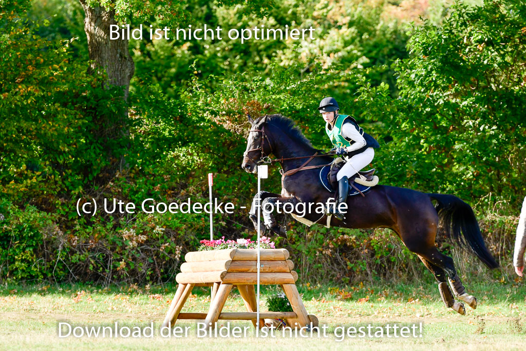 Bad Segeberg 09.10.2022 | 09102022 - XC CCI++ _092