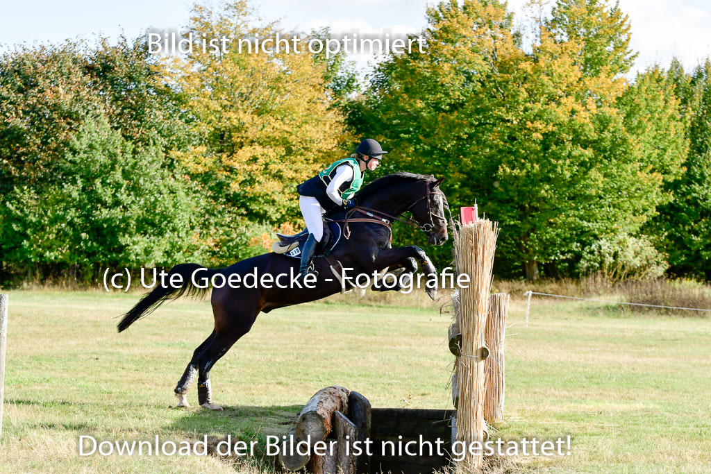 Bad Segeberg 09.10.2022 | 09102022 - XC CCI++ _096