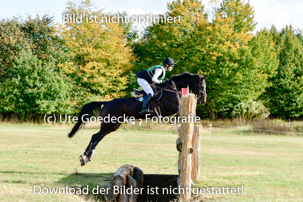 Bad Segeberg 09.10.2022 | 09102022 - XC CCI++ _097