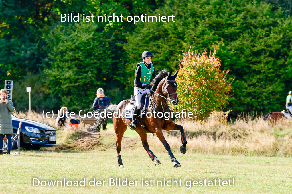 Bad Segeberg 09.10.2022 | 09102022 - XC CCI++ _099