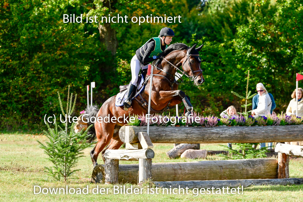 Bad Segeberg 09.10.2022 | 09102022 - XC CCI++ _100