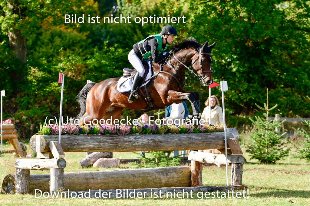 Bad Segeberg 09.10.2022 | 09102022 - XC CCI++ _102