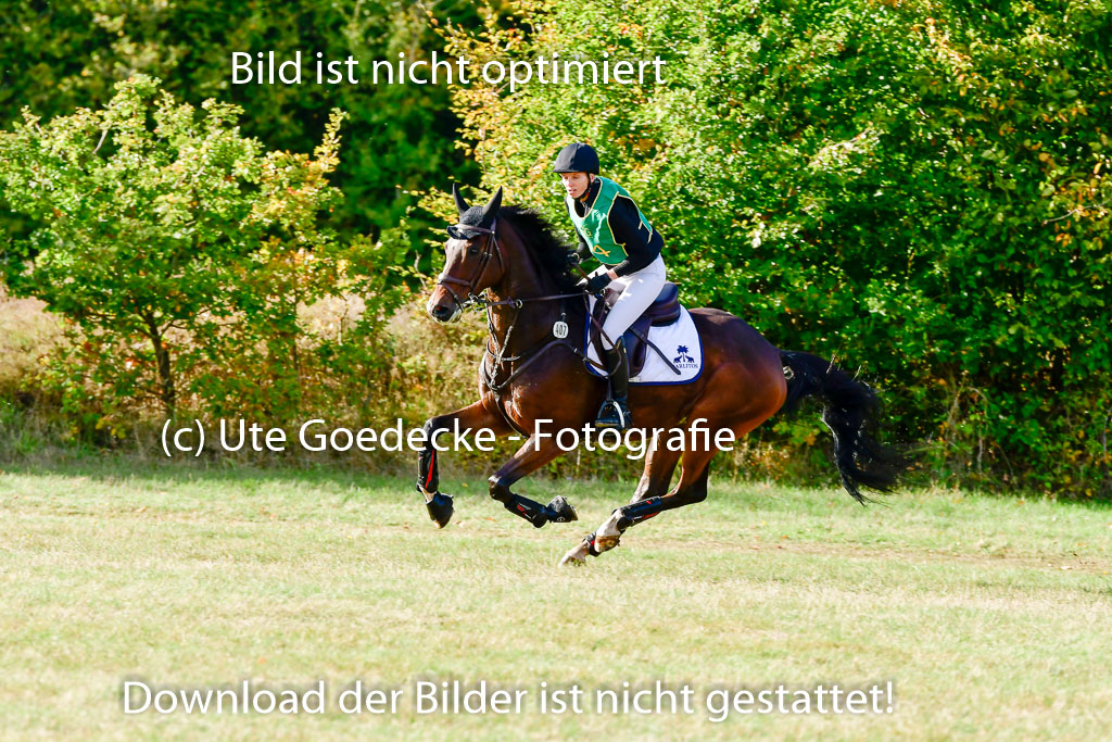 Bad Segeberg 09.10.2022 | 09102022 - XC CCI++ _107