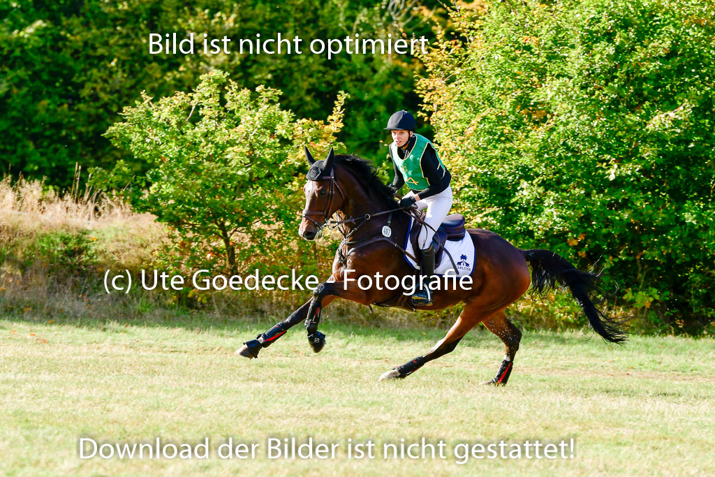 Bad Segeberg 09.10.2022 | 09102022 - XC CCI++ _108