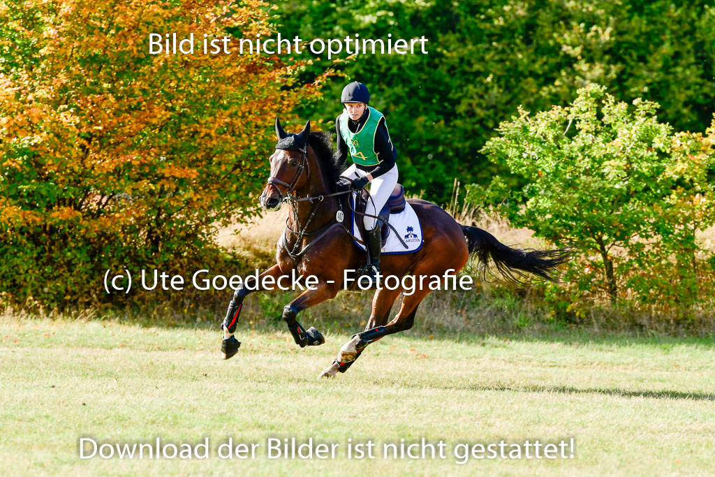 Bad Segeberg 09.10.2022 | 09102022 - XC CCI++ _110