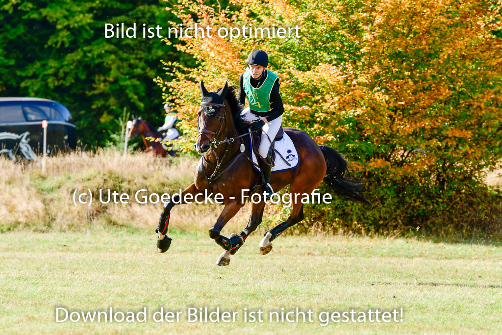 Bad Segeberg 09.10.2022 | 09102022 - XC CCI++ _112