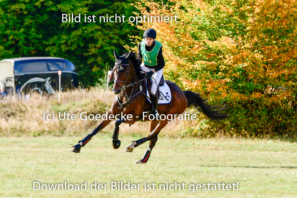 Bad Segeberg 09.10.2022 | 09102022 - XC CCI++ _113