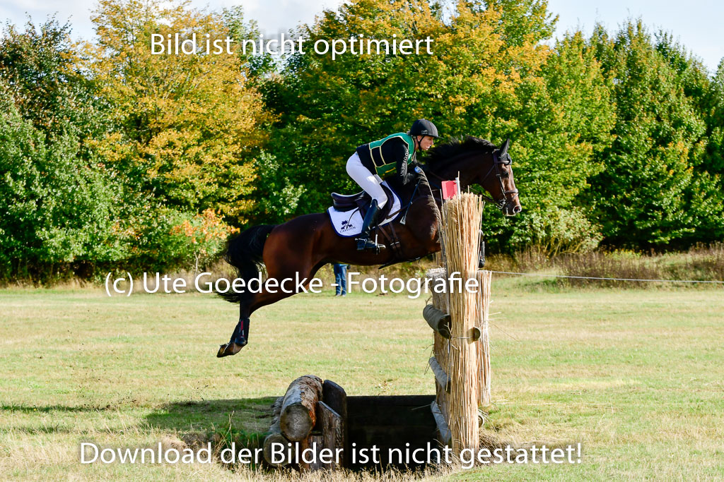 Bad Segeberg 09.10.2022 | 09102022 - XC CCI++ _115