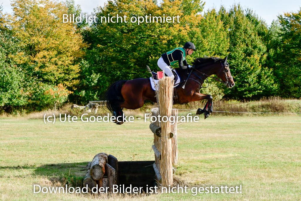 Bad Segeberg 09.10.2022 | 09102022 - XC CCI++ _116