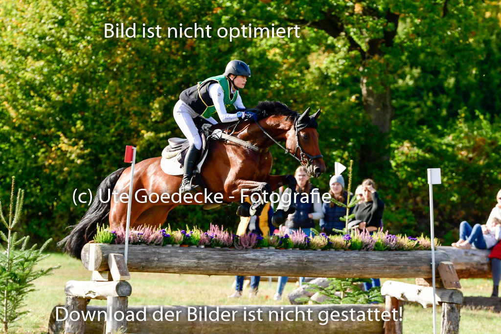 Bad Segeberg 09.10.2022 | 09102022 - XC CCI++ _117