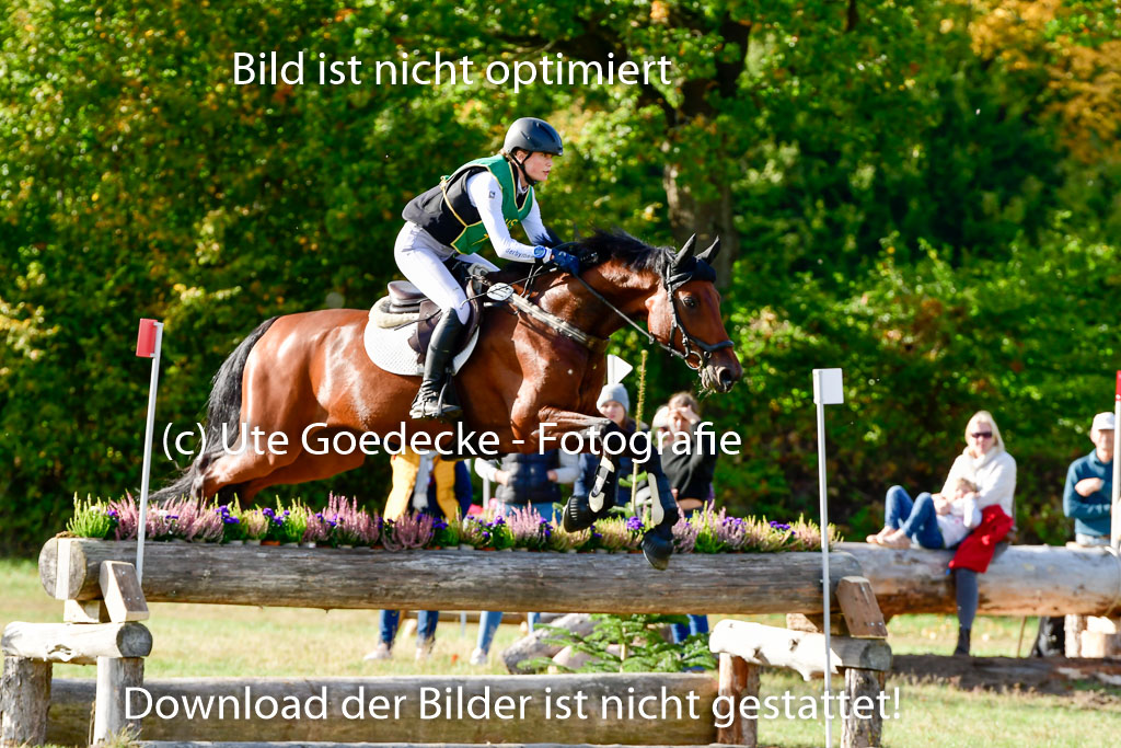 Bad Segeberg 09.10.2022 | 09102022 - XC CCI++ _118
