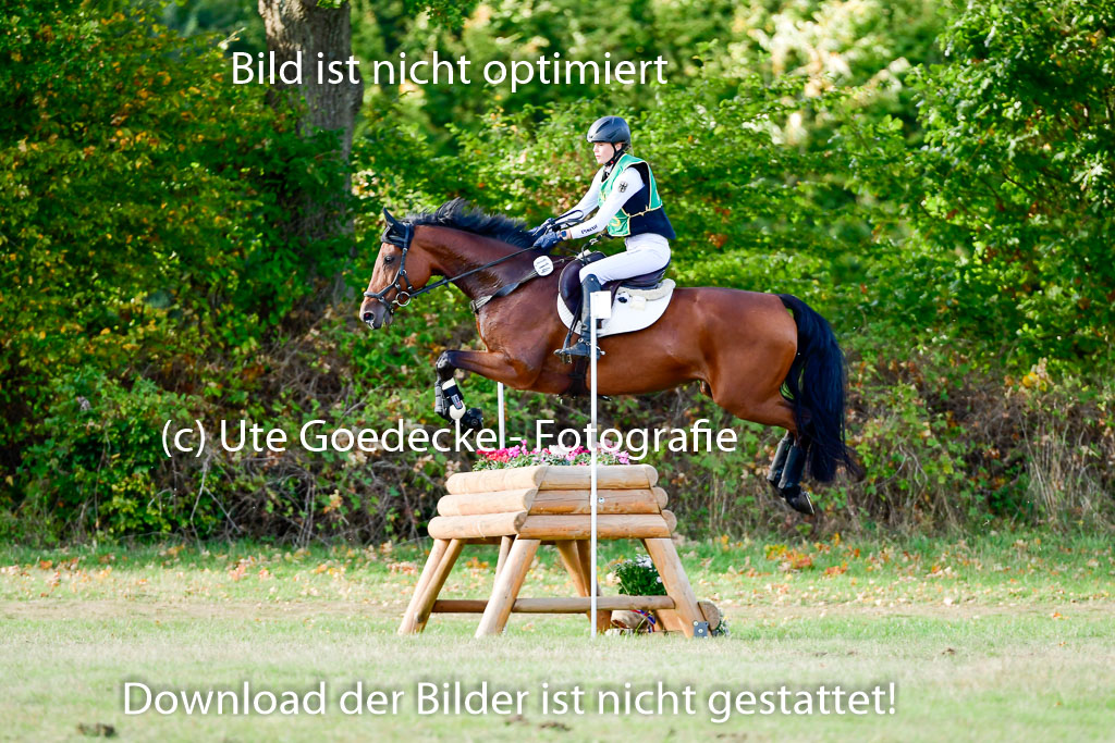Bad Segeberg  09.10.2022 | 09102022 - XC CCI++ _119 