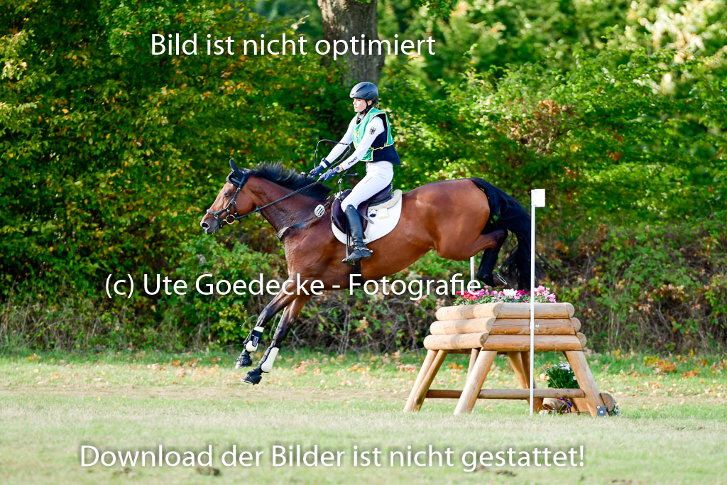 Bad Segeberg 09.10.2022 | 09102022 - XC CCI++ _120