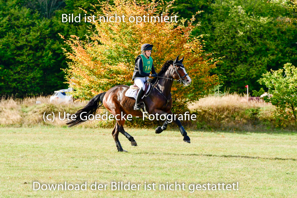 Bad Segeberg 09.10.2022 | 09102022 - XC CCI++ _124