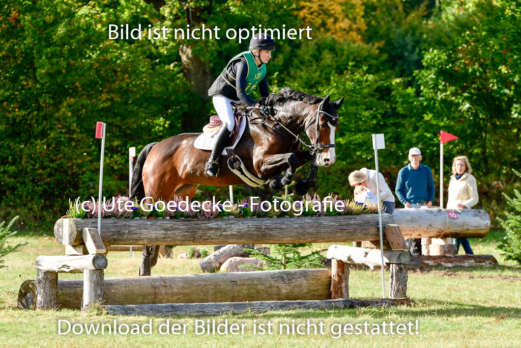 Bad Segeberg 09.10.2022 | 09102022 - XC CCI++ _125