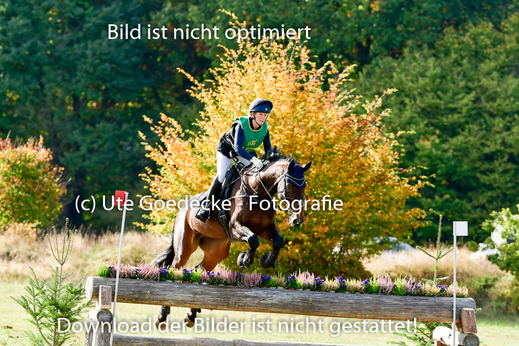 Bad Segeberg 09.10.2022 | 09102022 - XC CCI++ _127