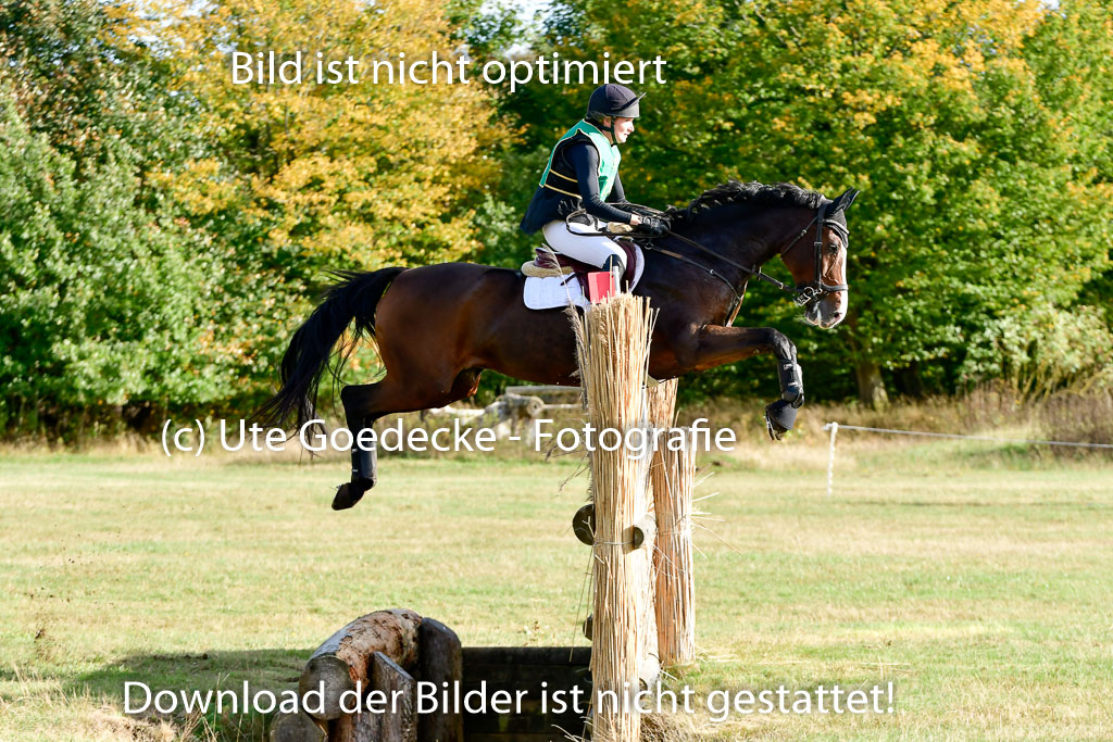 Bad Segeberg 09.10.2022 | 09102022 - XC CCI++ _131
